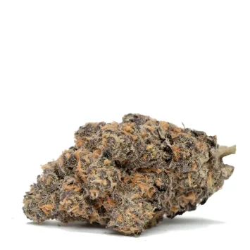 Black-Mamba-strain