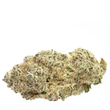 Cake Crashers Strain
