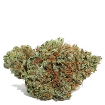 Strawberry Cough Strain