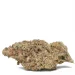 Tropic-Thunder Strain