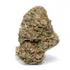 exotic-weed