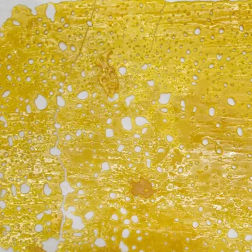 blackberry shatter