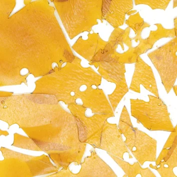 house-blend-shatter
