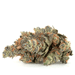 hybrid-weed-strains