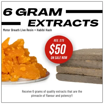 6G-EXTRACTS-DEAL-FOR-ONLY-50
