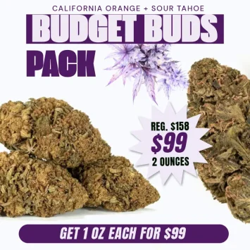 AA-budget-buds-pack-for-99
