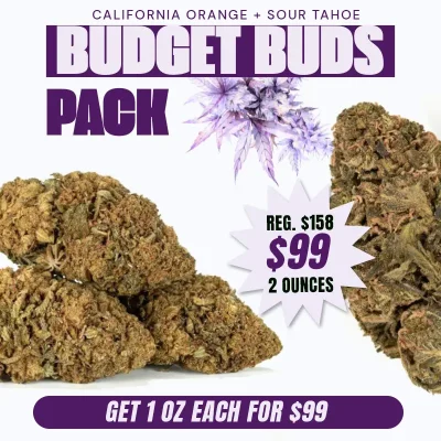 AA-budget-buds-pack-for-99