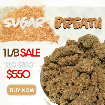Sugar-Breath-1-pound-bulk-sale