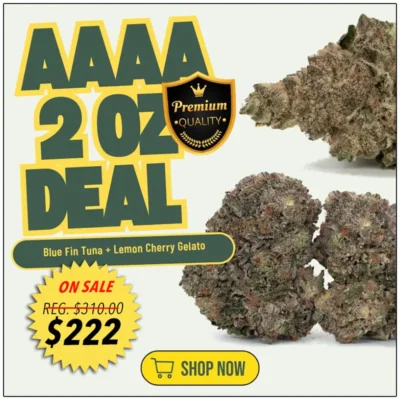 aaaa-2-oz-pack-deal