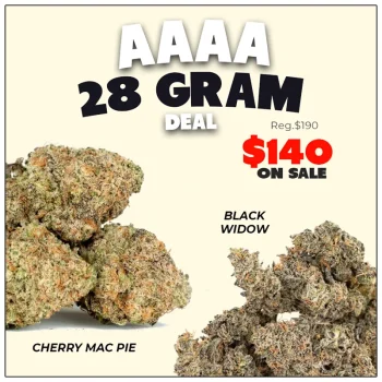 aaaa-28-gram-special-promo-for-$140
