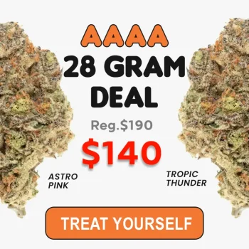 aaaa-28-gram-special
