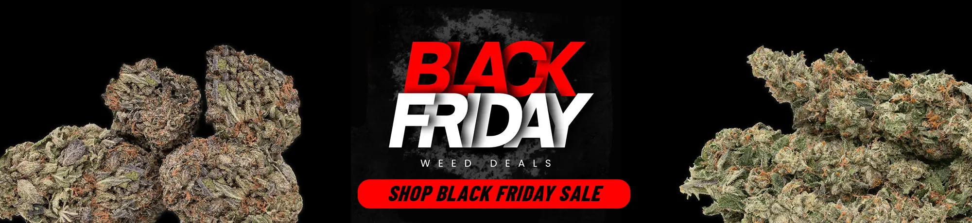 black-friday-sale-banner-2000x460