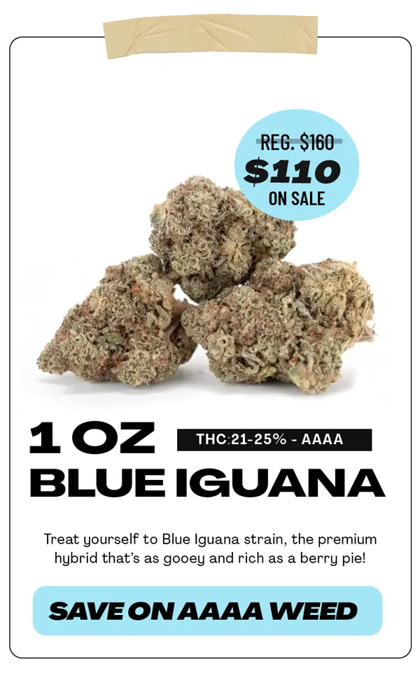 blue iguana oz deal