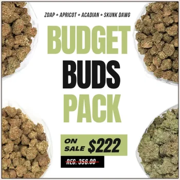 budget-buds-pack-4x28-grams