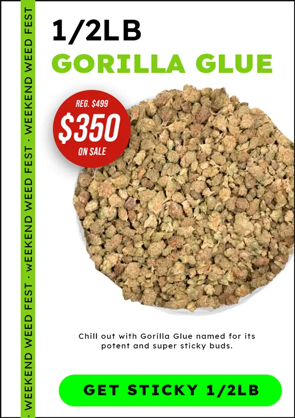 gorilla-glue-hp-deal