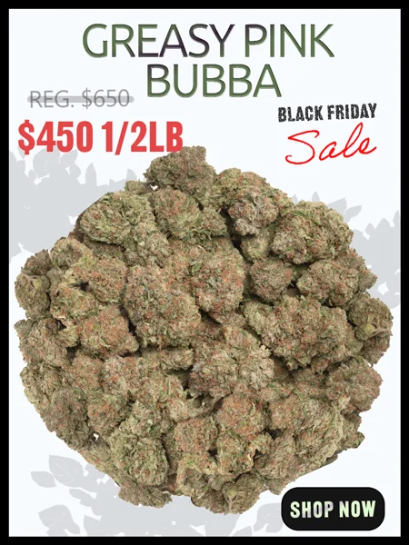 half-pound-greasy-pink-bubba-promotion