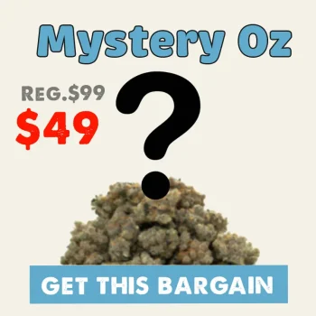 mystery-oz-deal