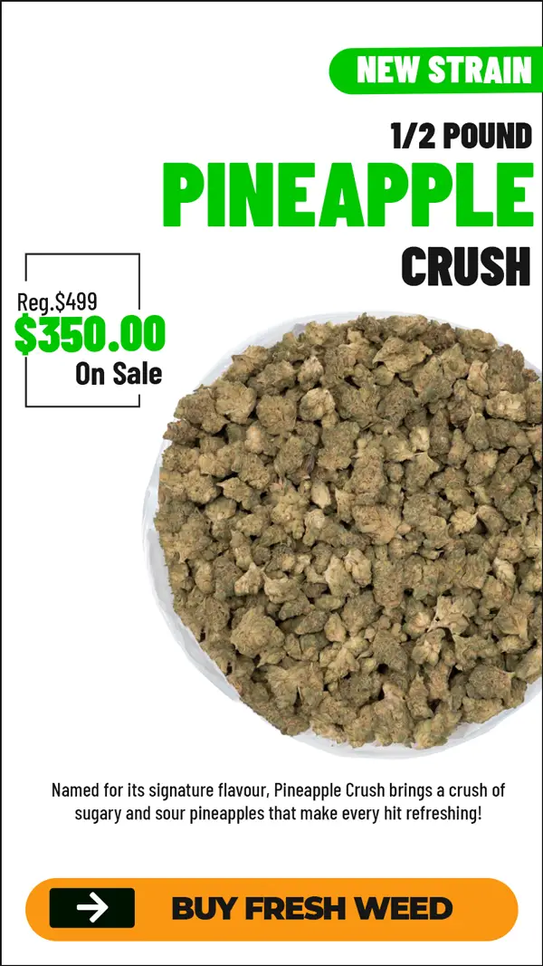 pineapple-crush-hp-sale
