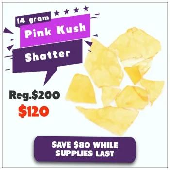 pink-kush-shatter-14g-sale