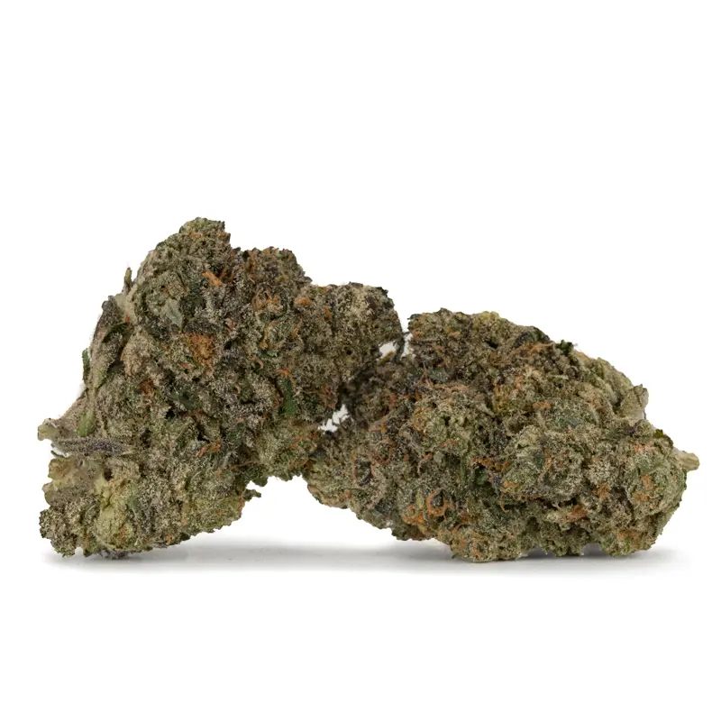 2 rainbow belts strain dried flower Rainbow Belts - Image 3