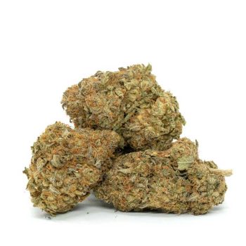 3-lemon-Skunk-buds