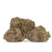 3 tropical cookies trichome covered cannabis buds