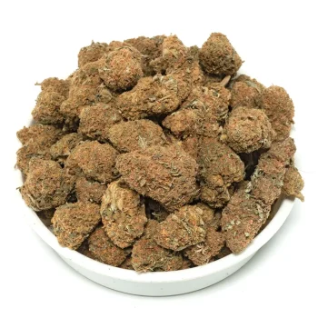 50-orange-crush-buds-with-thick-layer-of-orange-hairs