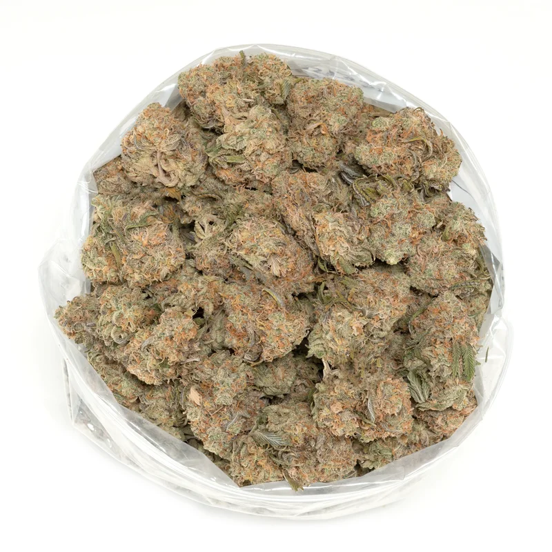 A-large-bag-of-authentic-oreoz-strain-buds