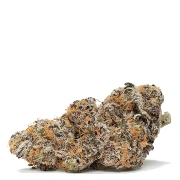 Blue-Coma