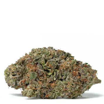 el chapo strain