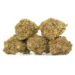 Five Petrol Pine buds piled up showing off their texture and color