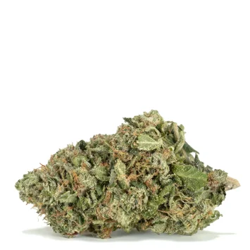 Khalifa-Kush
