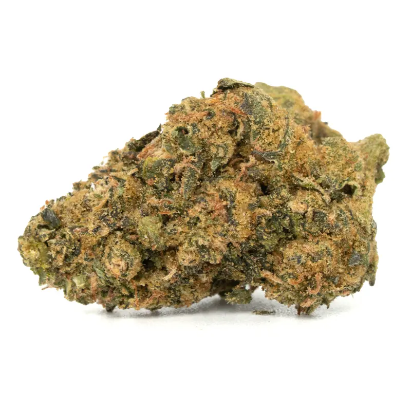 King Sherb strain bud close-up showing sage-green calyxes amber hairs and heavy trichome coverage King Sherb strain bud close-up showing sage-green calyxes amber hairs and heavy trichome coverage