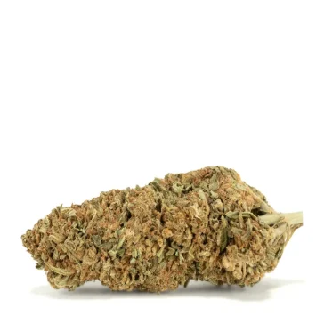Lemon-margy
