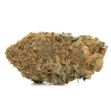 Master Tuna strain bud showing a dense tan and green surface laced with copper hairs