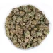 Mimosa-strain-marijuana-buds