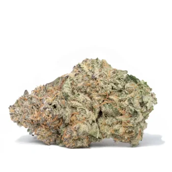 Obama-kush-high-resolution-detailed-bud