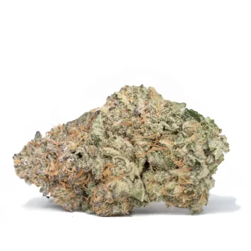 Obama kush high resolution detailed bud