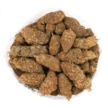 Orange-Dream-Bulk