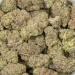 Oreoz-macro-closeup-bulk