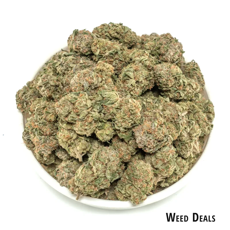 PLatnum-rockstar-buds-coverd-in-a-shiny-white-layer-of-THC-trichomes