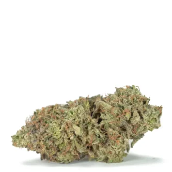 Pink-Death strain