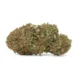 Pink-Tuna-Kush