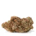 Red-Congolese-strain