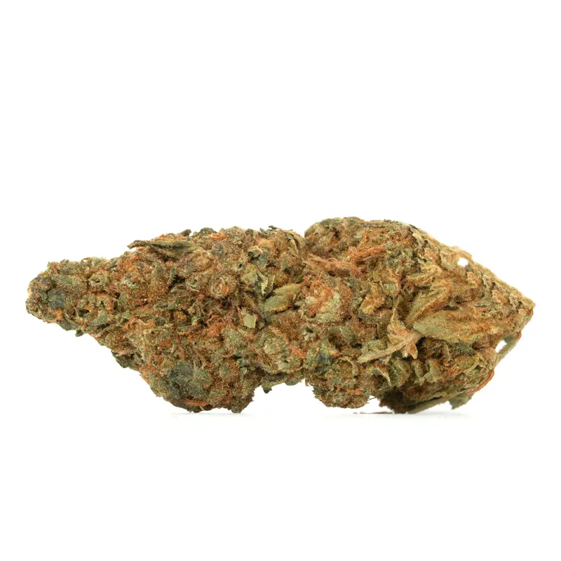 Skywalker strain nug showing tapered spear shape and copper hairs Skywalker strain nug showing tapered spear shape and copper hairs
