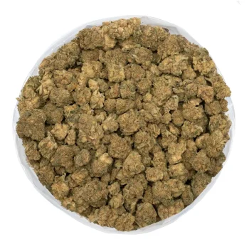 Triangle Mints marijuana buds in big bag top view