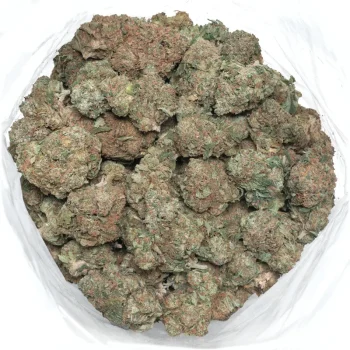 White-bubba-detailed-marijuana-buds-in-bag