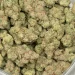 White-runtz-macro-closeup-bulk