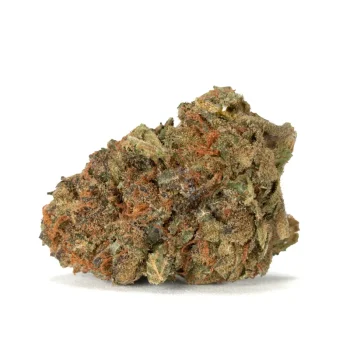 Acapolo Gold strain