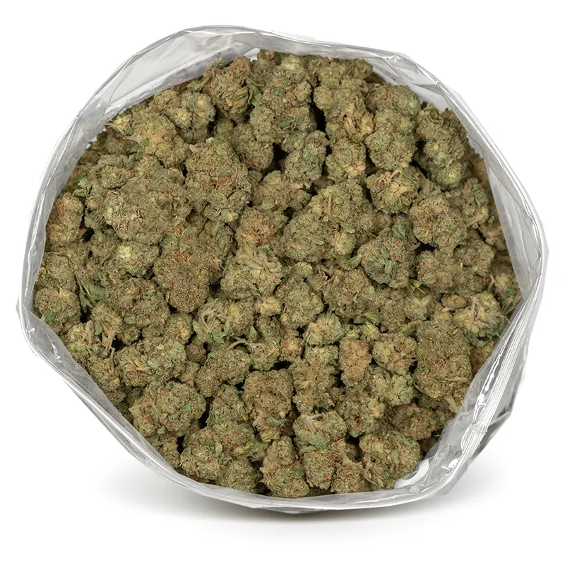 big bag of lemonatti cannabis buds big bag of lemonatti cannabis buds